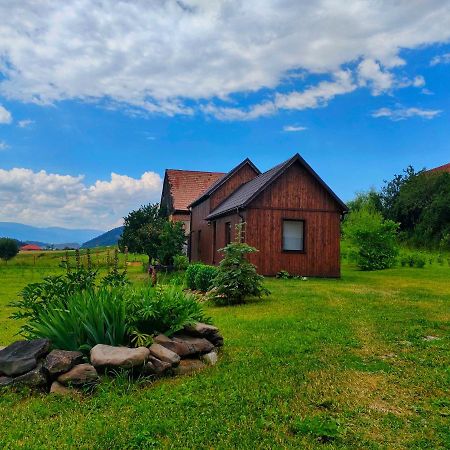 Organicle Lodge Sincraieni 외부 사진