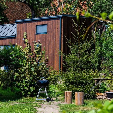 Organicle Lodge Sincraieni 외부 사진