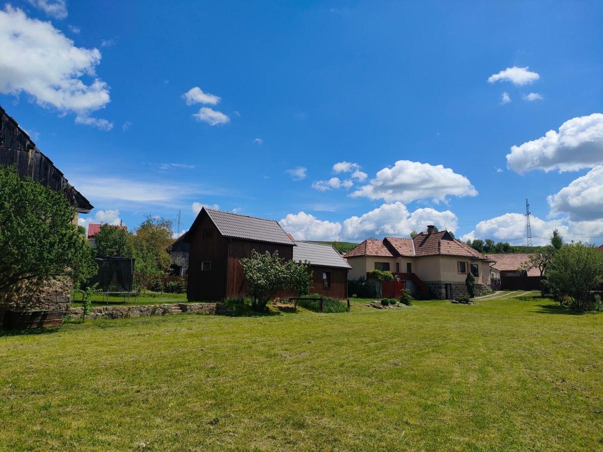 Organicle Lodge Sincraieni 외부 사진